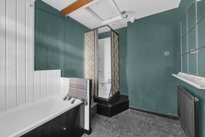 Photo 10- click for photo gallery